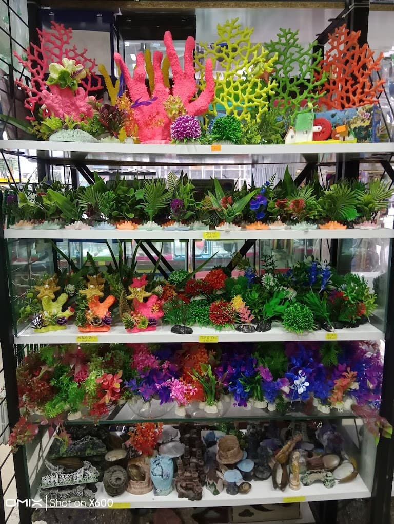 Akvaryum Aksesuarları