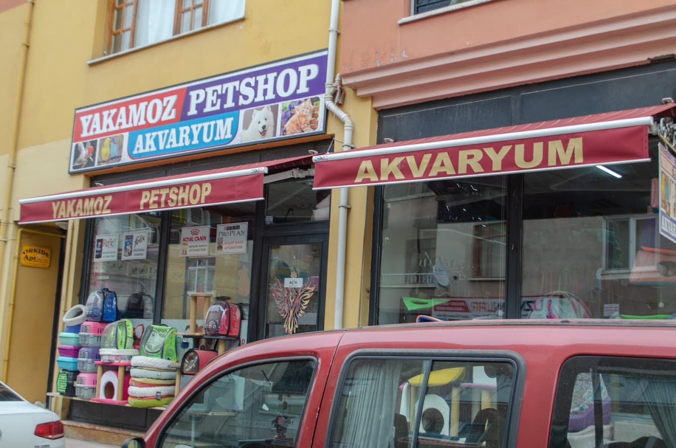 Yakamoz Akvaryum & Petshop mağaza görünümü Tokat