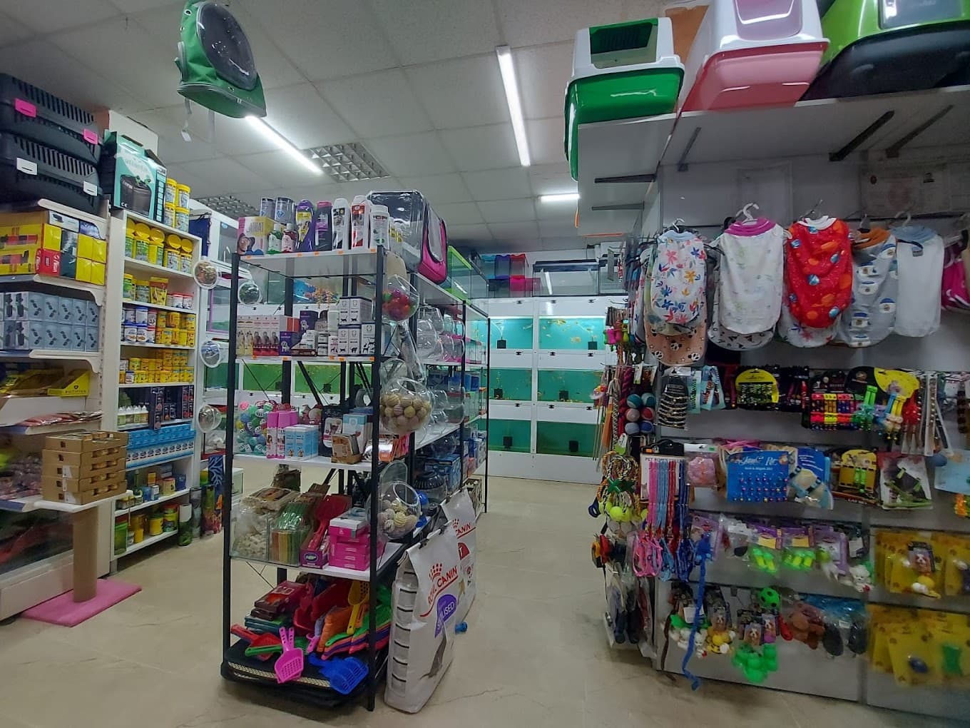 Yakamoz Petshop iç mekan genel görünüm